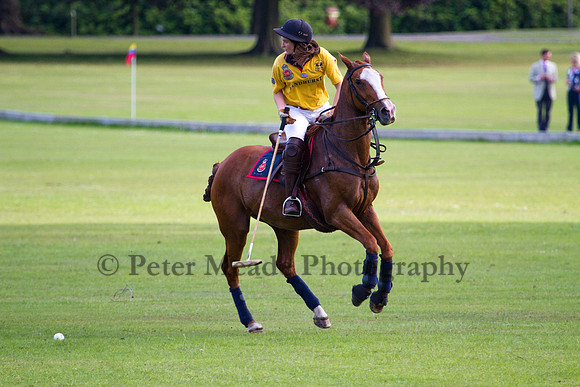 Summer Night's Polo
