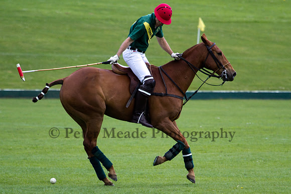 Royal Artillery Polo Tournament