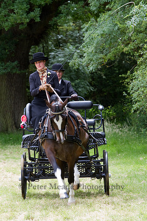 Warfield Driving Show 2012
