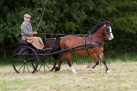 Warfield Driving Show 2012