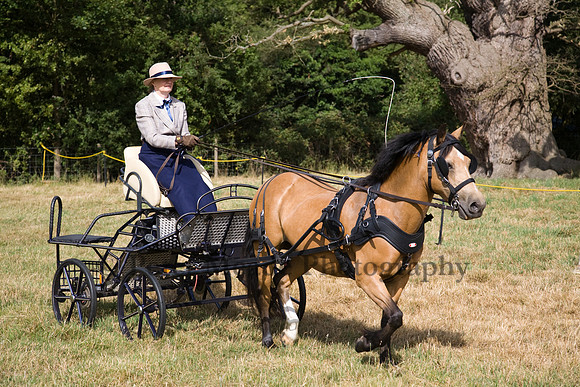 Warfield Driving show 2009