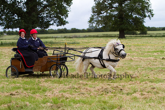 Warfield Driving Show 2012