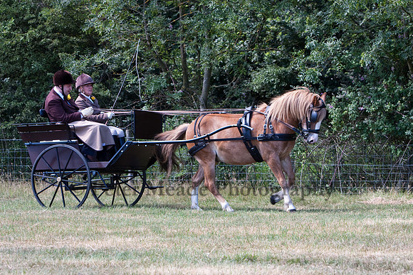 Warfield Driving Show 2010