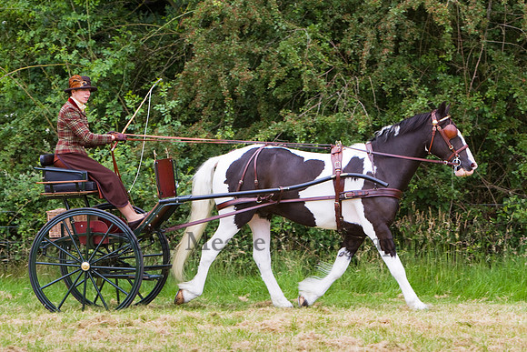 Warfield Driving Show 2012