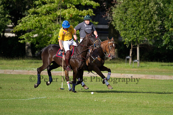 Summer Night's Polo