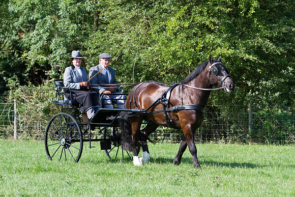 Warfield Driving show 2011