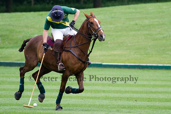 Royal Artillery Polo Tournament