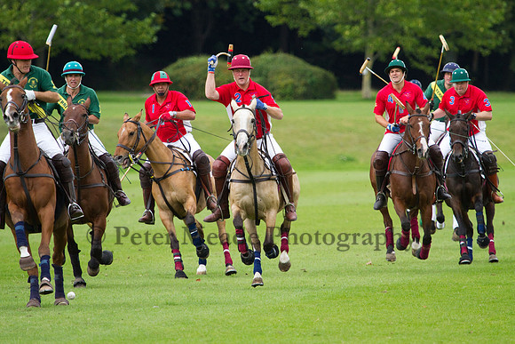 AGC Polo Cup 2011