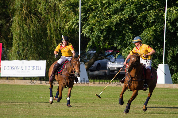 Summer Night's Polo