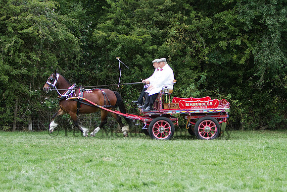 Warfield Driving show 2011