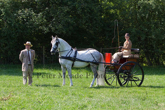 Warfield Driving show 2011