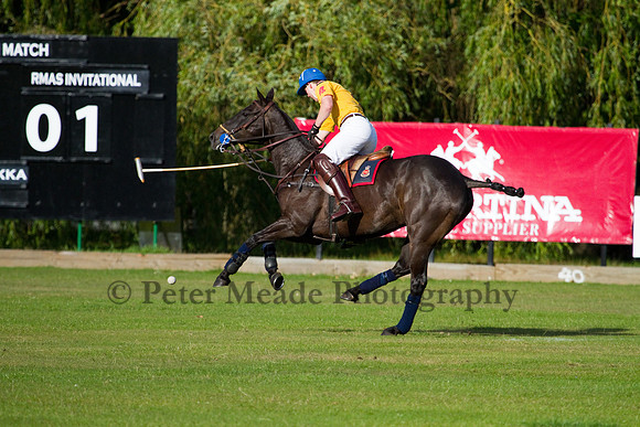 Summer Night's Polo