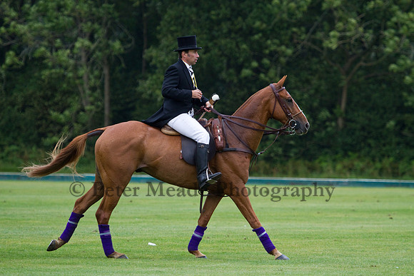 Heritage Polo Cup 2012