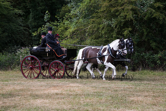 Warfield Driving Show 2010