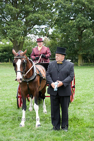 Warfield Driving show 2011