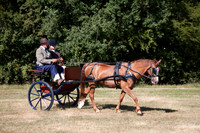 Warfield Driving Show 2010
