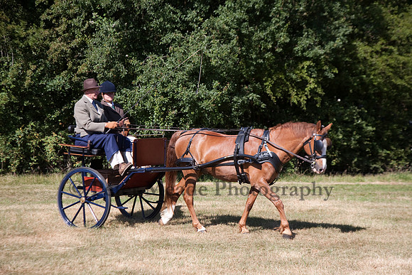 Warfield Driving Show 2010