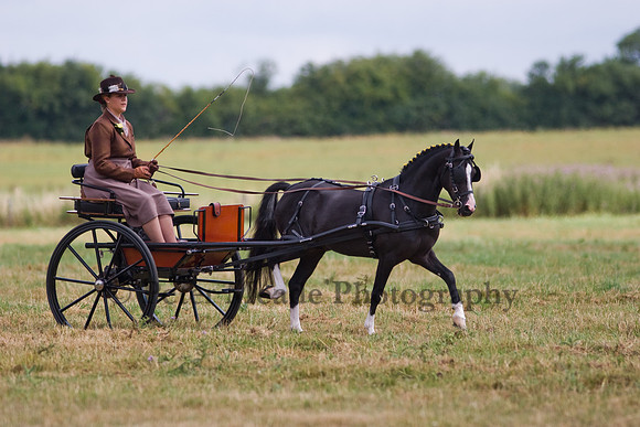 Warfield Driving show 2009