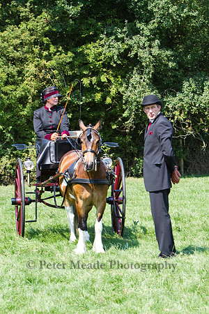 Warfield Driving show 2011