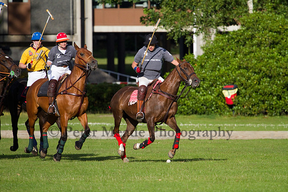 Summer Night's Polo