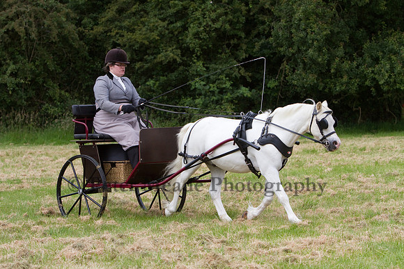 Warfield Driving Show 2012