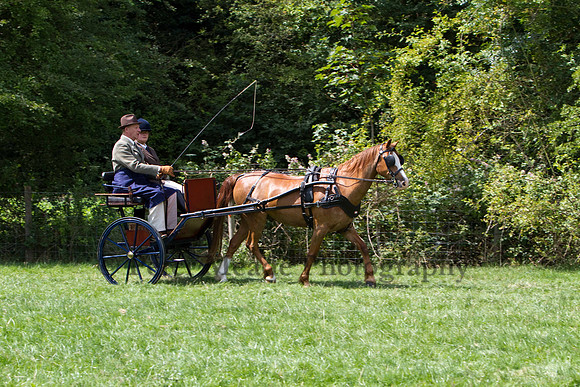 Warfield Driving show 2011