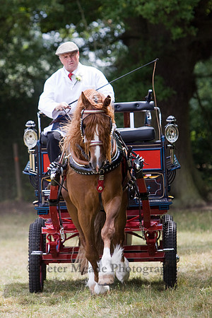 Warfield Driving show 2009