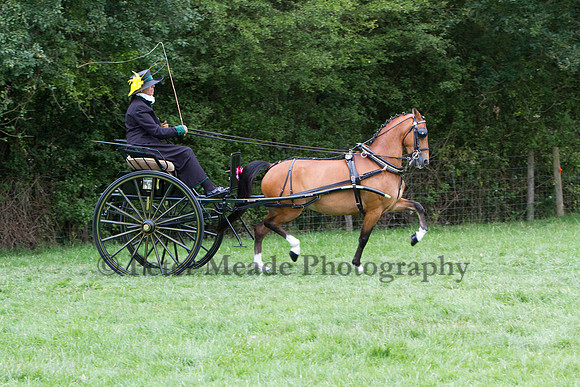 Warfield Driving show 2011