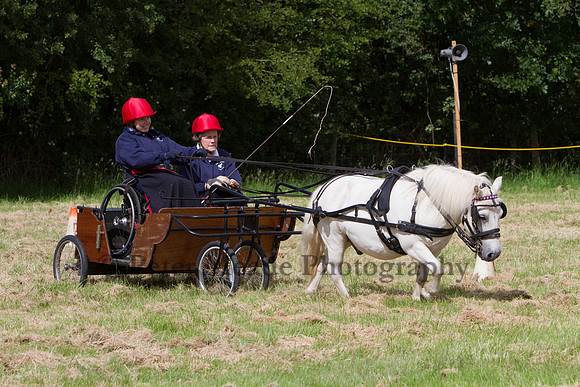 Warfield Driving Show 2012