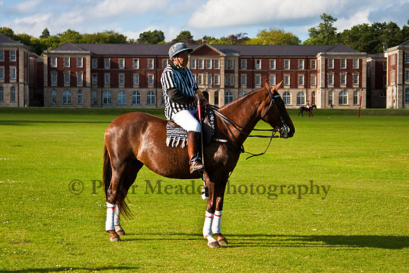Summer Night's Polo