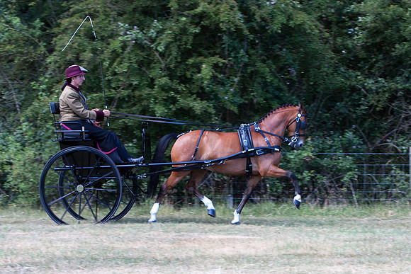 Warfield Driving Show 2010
