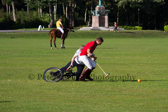 Summer Night's Polo