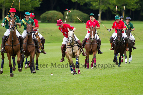 AGC Polo Cup 2011