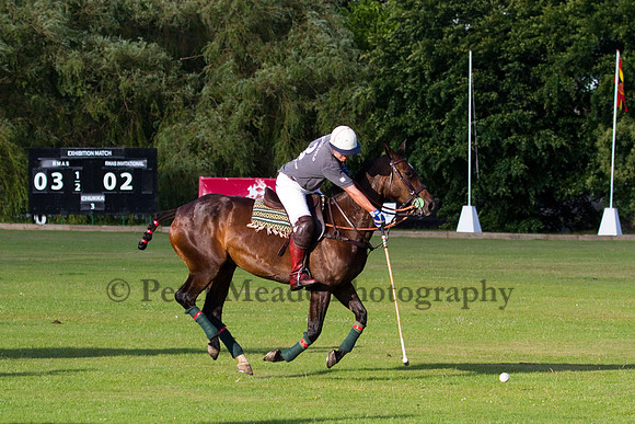 Summer Night's Polo
