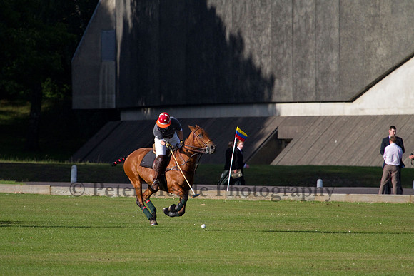 Summer Night's Polo