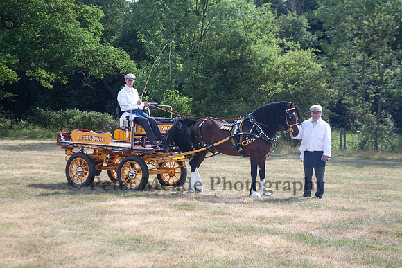 Warfield Driving Show 2010