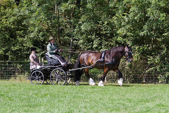 Warfield Driving show 2011