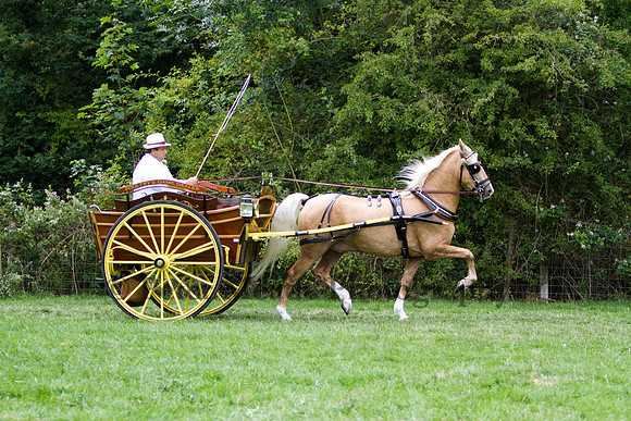 Warfield Driving show 2011