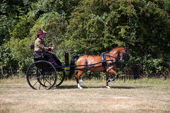 Warfield Driving Show 2010