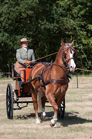 Warfield Driving Show 2010