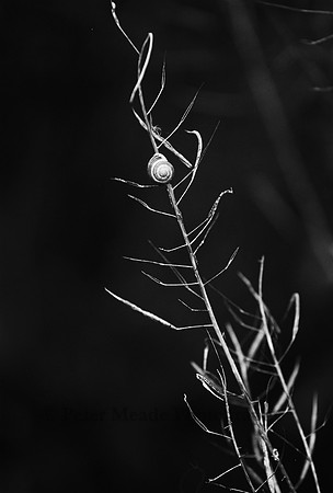 CNV00031_a