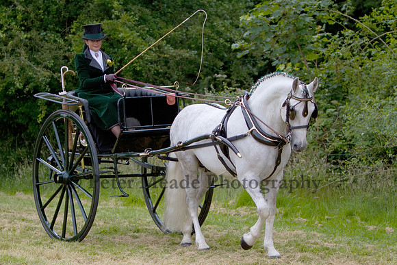 Warfield Driving Show 2012
