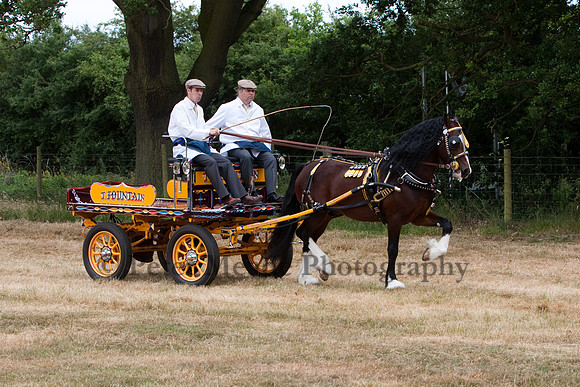 Warfield Driving Show 2010