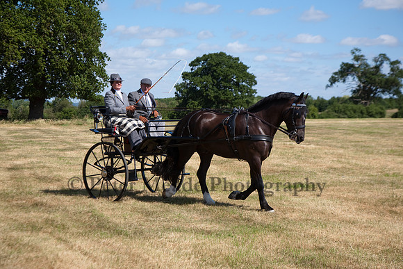 Warfield Driving Show 2010
