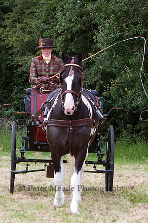 Warfield Driving Show 2012