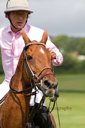 Heritage Polo Cup 2012