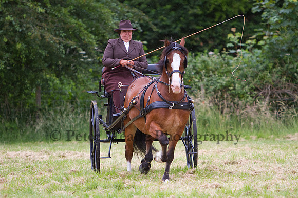 Warfield Driving Show 2012