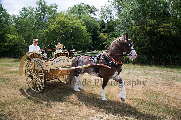 Warfield Driving Show 2010