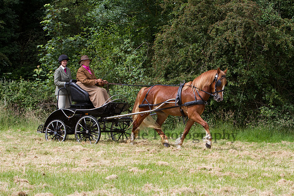 Warfield Driving Show 2012