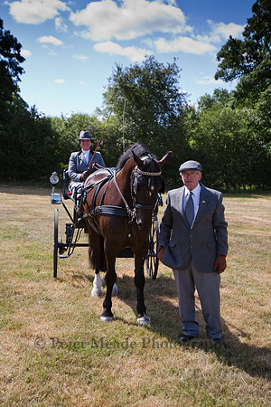 Warfield Driving Show 2010